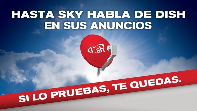 <span style="font-weight: bold;">Dish TV&nbsp;</span>